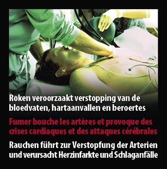 Belgium 2007 Health Effects arteries - lived experience, clogged arteries, heart attack, stroke